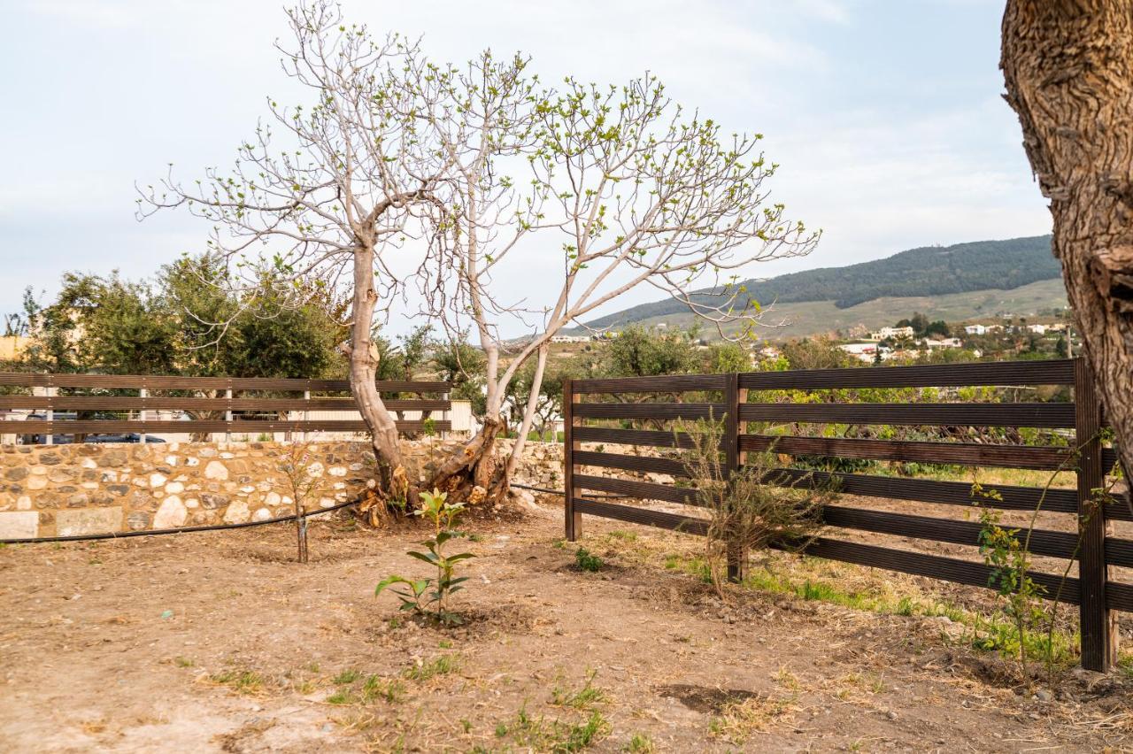 Paradisi Stone House Kos Exterior photo